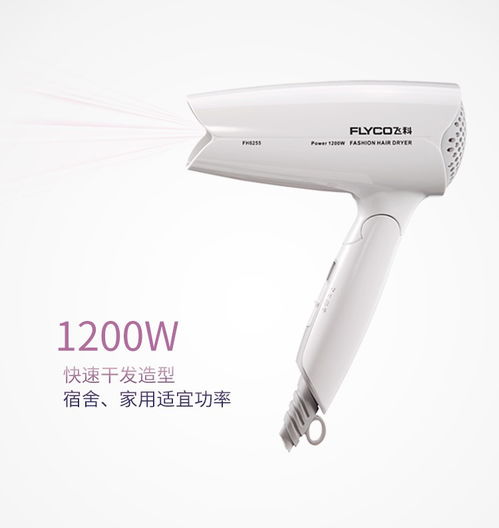 飛科FH6255電吹風 輕巧折疊與舒適風速的完美融合